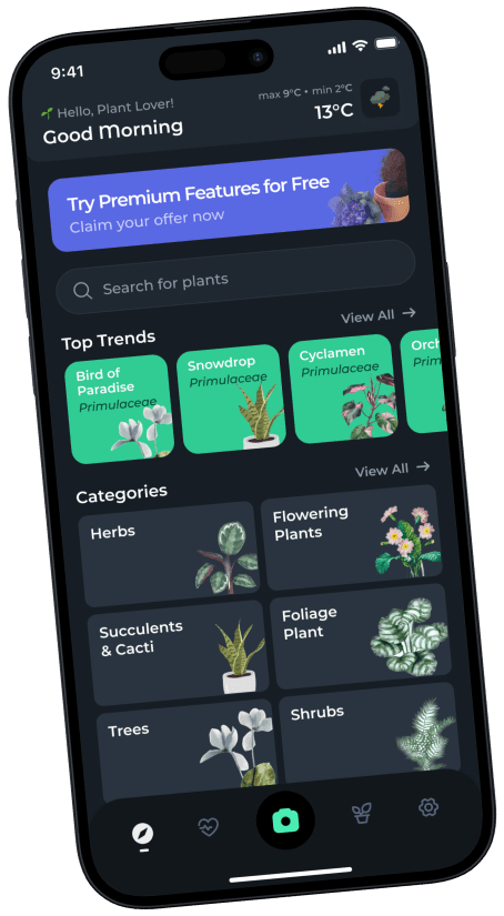 Plantly app interface on iPhone showing plant identification features