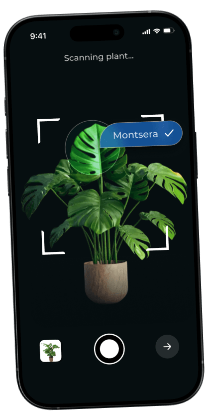 plantly-2 Phone 1