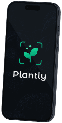 plantly-2 Phone 2